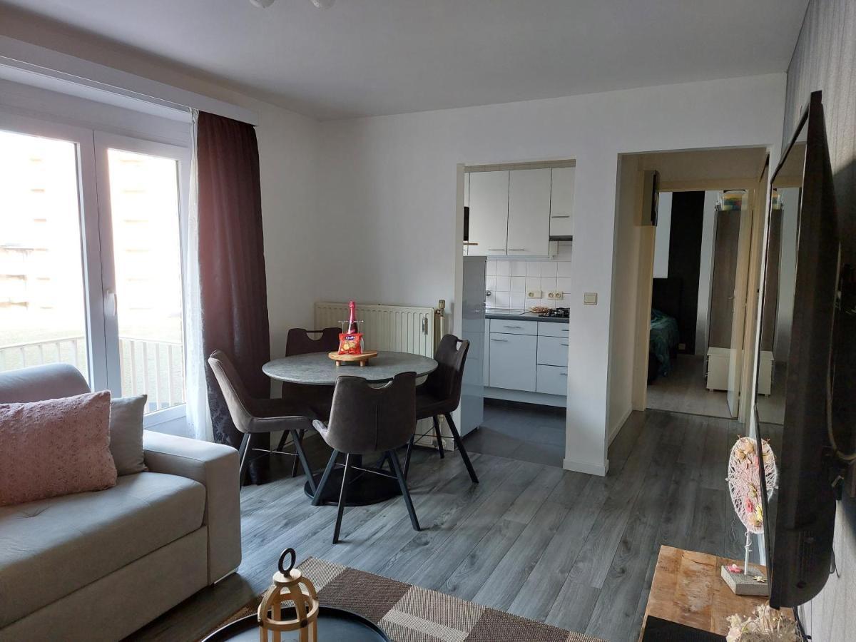 Appartement Ter Zee デ パンネ エクステリア 写真