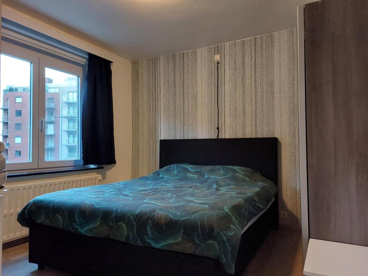 Appartement Ter Zee デ パンネ エクステリア 写真